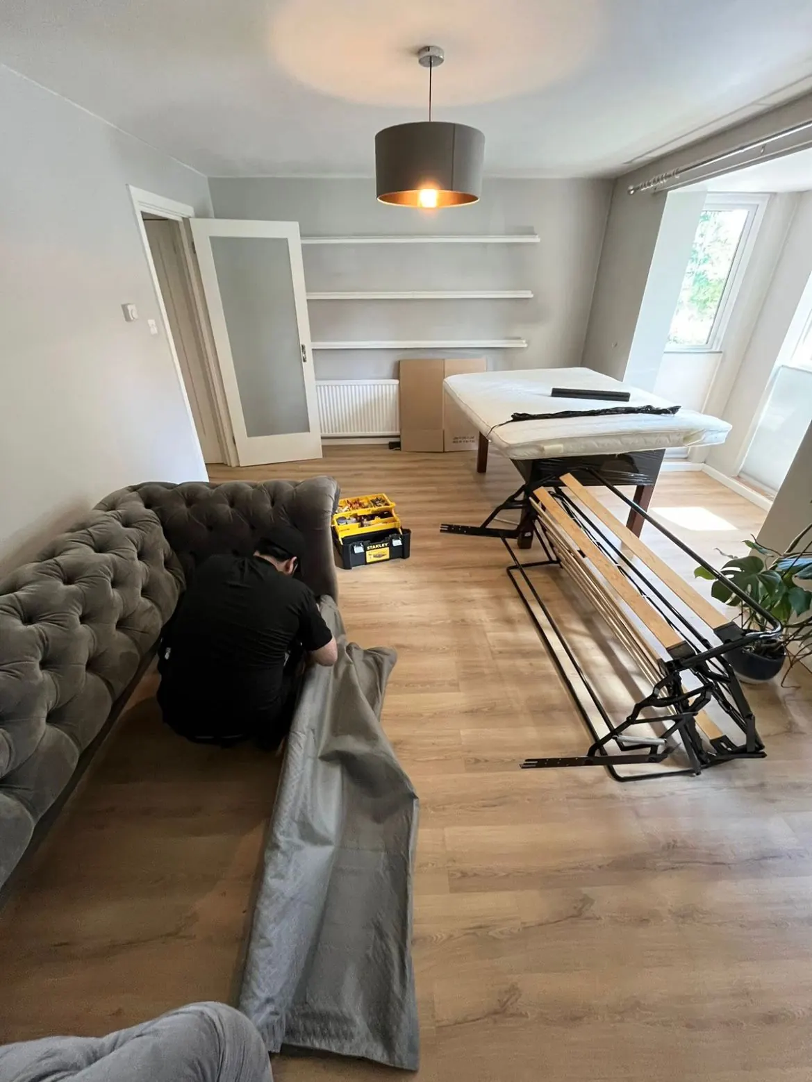 Furniture Assistance
