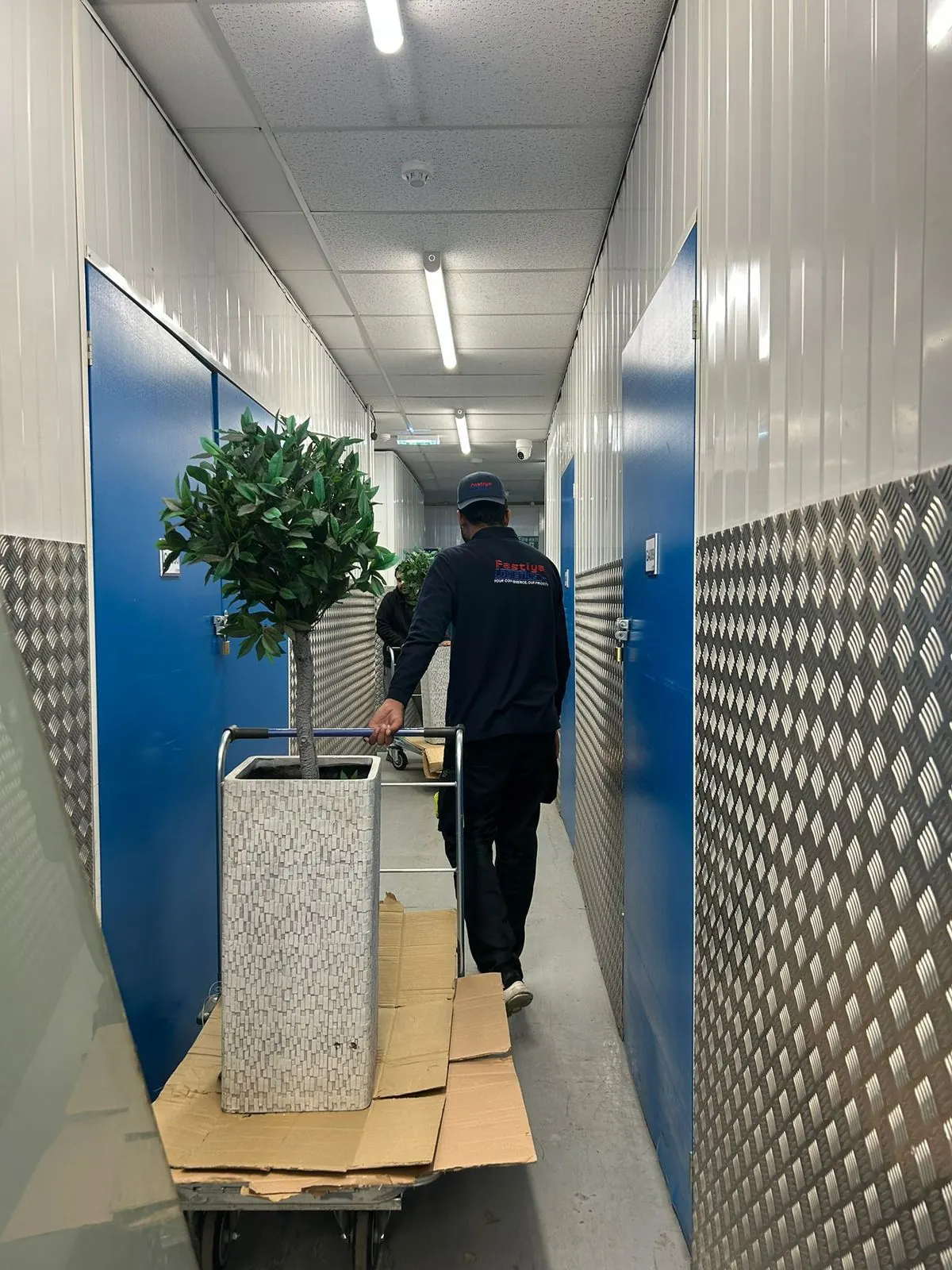 Storage Solutions